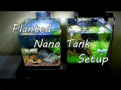 setting up a tank - Aquatic videos