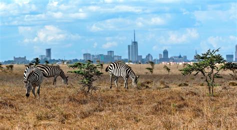 Nairobi, Kenya: 4 Wonderful Places To Visit | Found The World