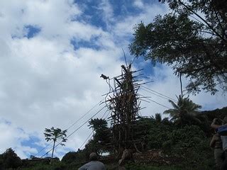 Vanuatu - Pentecost | Land diving on Pentecost. | snapboot | Flickr