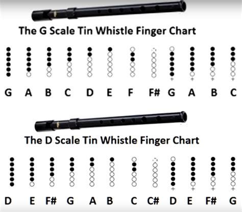 G Vs D Comparison Tin Whistle Finger Chart | Tin whistle, Whistle, Flute sheet music