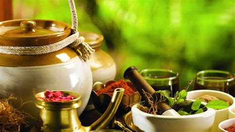 Kerala Traditional Ayurveda Treatments – Rishi Hospital