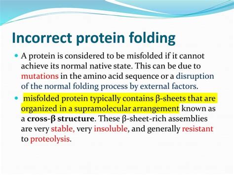 Protein Folding Mechanism