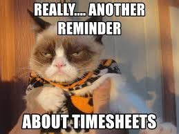 Image result for timecard reminder meme | Halloween memes, Grumpy cat ...