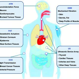 A summary graphical abstract for recently established microsystem ...