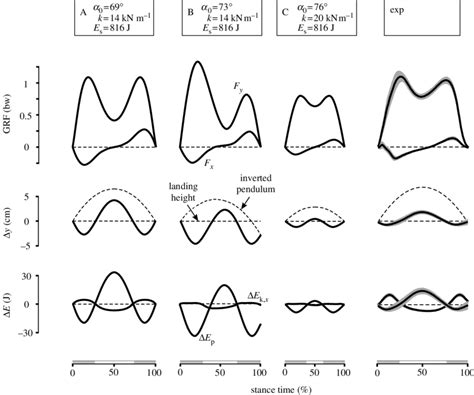 Stance-phase patterns of walking at about 1.2 m s K1. (A-C) Examples of... | Download Scientific ...