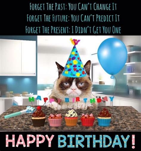 Pin by Groblertanya on Cats | Grumpy cat birthday, Happy birthday cat ...