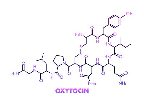 Oxytocin chemical formula, hormone of love. Vector stock illustration 29920498 Vector Art at ...