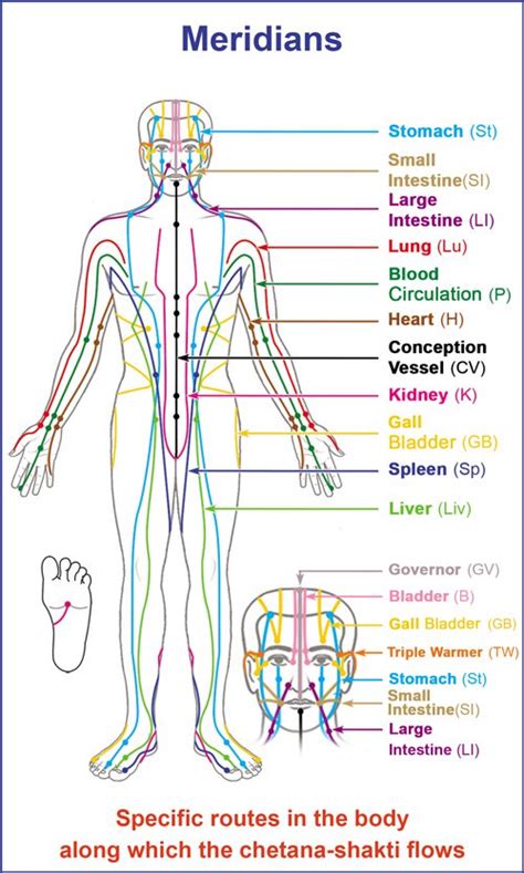 Meridian & Acupressure Massage | Refined Health & Wellness | Massage Therapy St. Albert