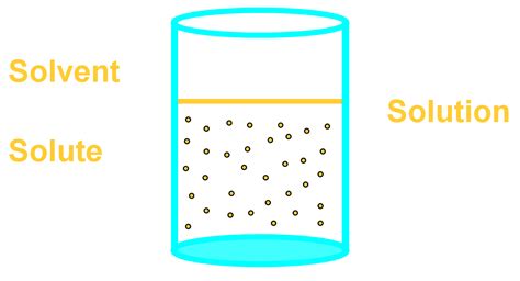 Introduction to Solution Chemistry: Explore Solubility | StudyPug