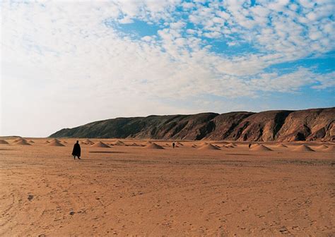 Massive art installation existing in Sahara Desert 17 years – Vuing.com