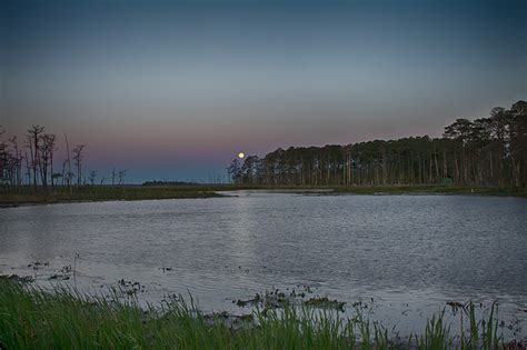 Sunrise and Moonset at Blackwater NWR | photoartflight