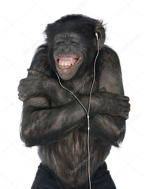 Monkey listening music Stock Photo by ©lifeonwhite 10879984