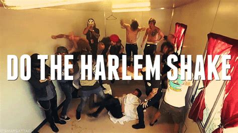 do the harlem shake gifs | WiffleGif