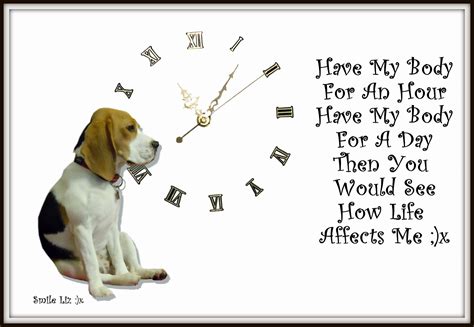 Quotes About Beagles. QuotesGram