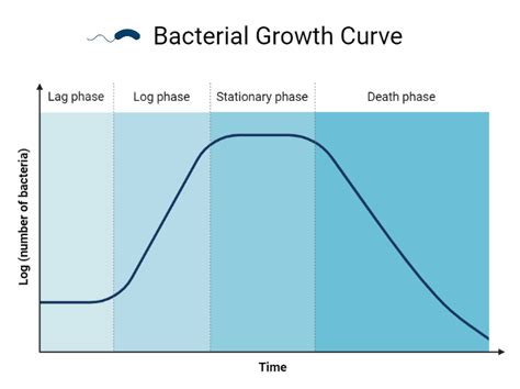 Bacterial Growth Curve - Microbial notes