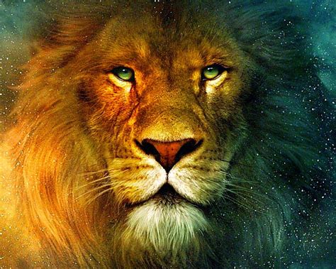 Lion Eyes Wallpaper Hd 1080p