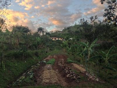 Agricultural Climate Resilience and Adaptation in Puerto Rico | Yale ...