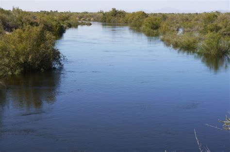 Historic water release brings surge of joy to Colorado River Delta | Environment | tucson.com