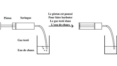 Test De Reconnaissance Du Dioxyde De Carbone Par L Eau De Chaux | Hot ...