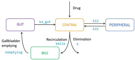 Enterohepatic circulation model - Mlxtran