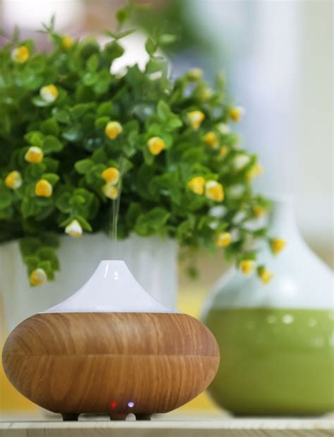 How to Use Essential Oil Diffusers for Aromatherapy - Cushy Spa