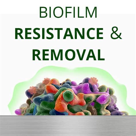 Biofilm Basics: Resistance and Removal | Sterilex®