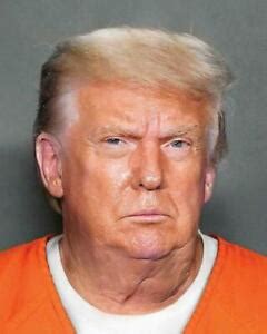 DONALD TRUMP FAKE MUGSHOT GLOSSY POSTER PICTURE PHOTO PRINT BANNER funny 6549 | eBay