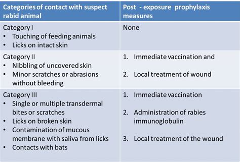 Top 120+ Management of animal bite - Merkantilaklubben.org