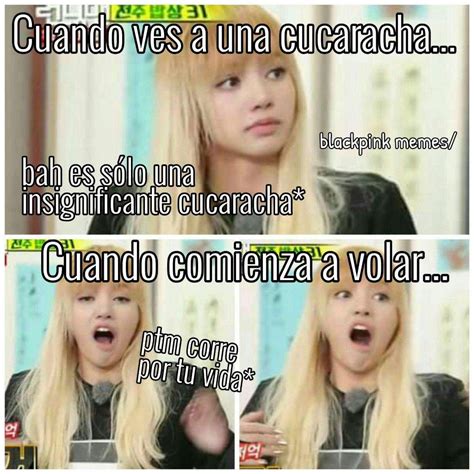 BLACKPINK MEMES ESPAÑOL | •K-Pop• Amino