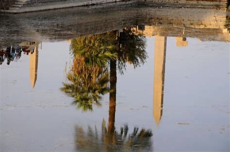 Karnak Temple Complex - Sacred Lake (2) | Luxor and Karnak | Pictures | Egypt in Global-Geography