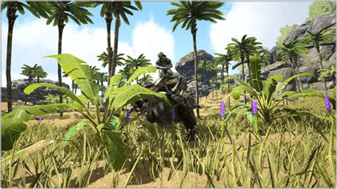 Ark Ankylosaurus (Abilities, Taming, Food, Saddle, Breeding, Drops & Location) - ProGameTalk