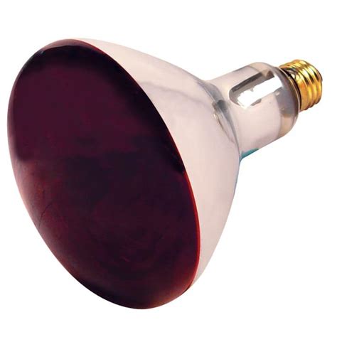 Satco 250W Red Infrared Incandescent Heat Lamp by Satco at Fleet Farm