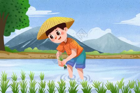 Stock Paddy Field illustration royalty-free pictures - Lovepik