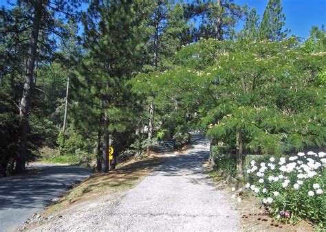 Sugarloaf Mountain Trail | Bear Yuba Land Trust