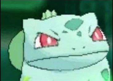 Angry Bulbasaur Blank Template - Imgflip