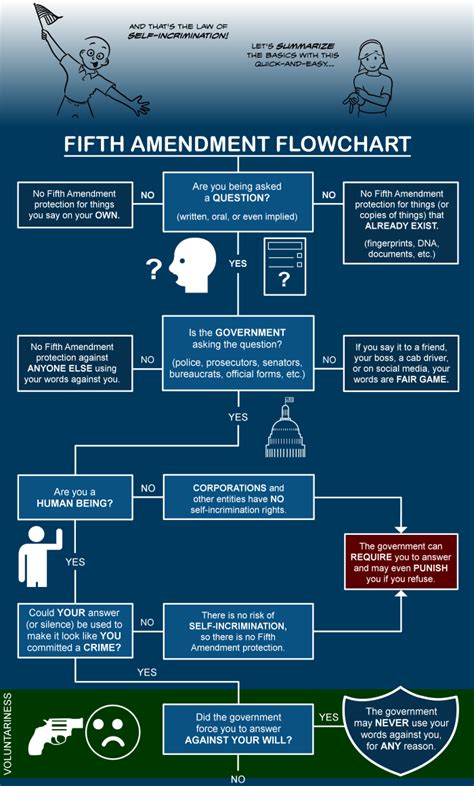 Fifth Amendment Flowchart : r/Infographics