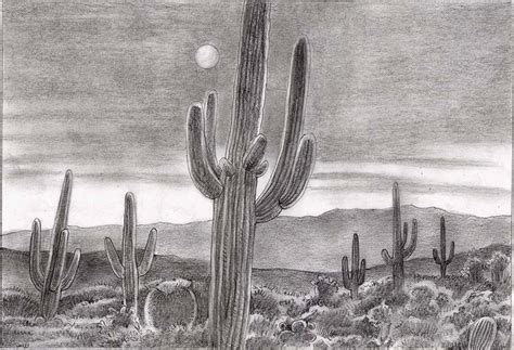 Sonoran desert sketch (sleeve idea) | Desert drawing, Barn drawing, Cactus drawing