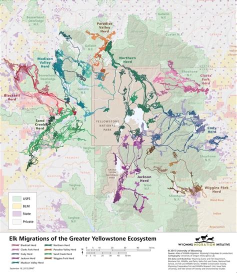 Chronic Wasting Disease Looms As Deadly Threat To Country's Greatest Elk Herds