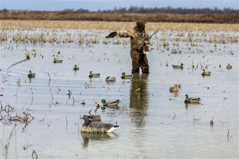 8 Best Duck Hunting Waders of 2023 [Insulated & Breathable]