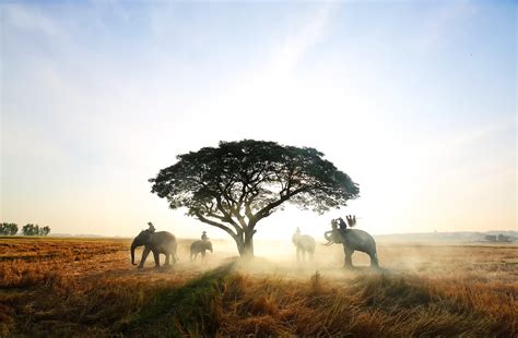 The Top 4 Best Safari Parks In Kenya | Travel Experta