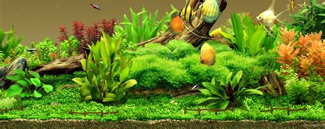 25 Aquarium Backgrounds, Wallpapers, Images, Pictures - Fish Aquarium Background Hd - 2560x1024 ...