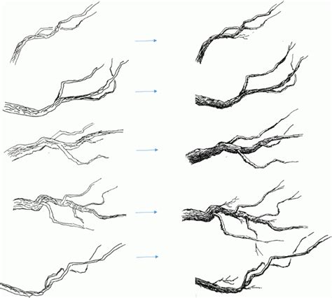 How to Draw Tree Branches in Pen and Ink - My Pen and Ink Drawings | Tree drawings pencil, Trees ...