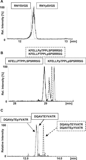 Phosphorylation Analysis by Mass Spectrometry - Molecular & Cellular Proteomics