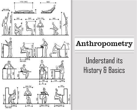 Anthropometry is the method of obtaining precise measurements & gives ...