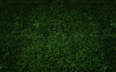 🔥 [48+] HD Football Field Wallpapers | WallpaperSafari