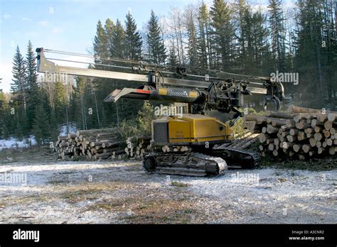 Logging industry Stock Photo - Alamy