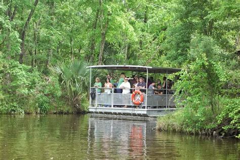 New Orleans: Bayou Tour in Jean Lafitte National Park | GetYourGuide