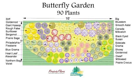 RMBR - Riding Mountain Biosphere Reserve | Butterfly garden design, Hummingbird garden plan ...