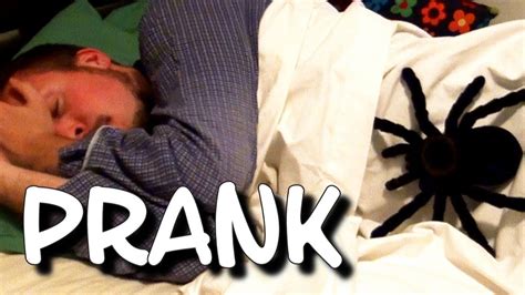 GIANT SPIDER SCARE PRANK | Spider Funny Prank Caught on Video - YouTube