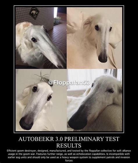 Snoot | Long Face Dog / Borzoi | Know Your Meme